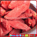 Frete grátis crescente goji berries Bairuiyuan Goji benefícios de Minhas bagas secas